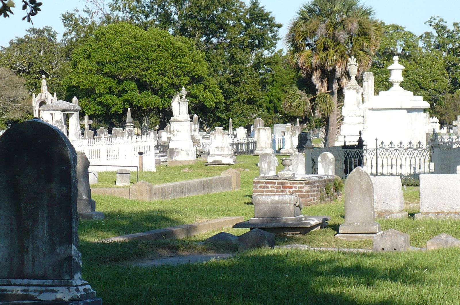 Marble monuments, iron fencing and palms along a grassy section of Magnolia Cemetery