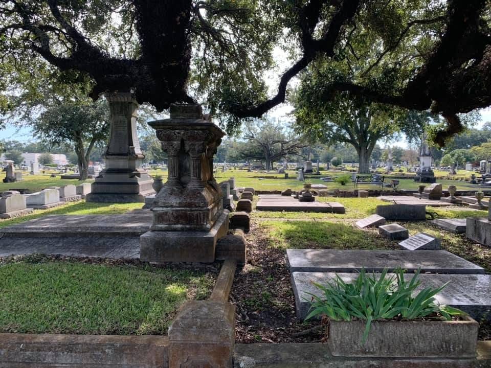Family plots and marble pedestals shaded by a spreading live oak at Magnolia Cemetery